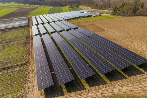 Large-scale solar system on arable land with adjacent trees and fields, Agri PV Bau für