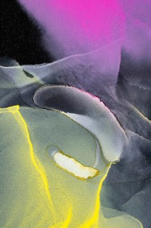 This abstract art features a vibrant mix of neon colors, pink, green, and yellow swirling