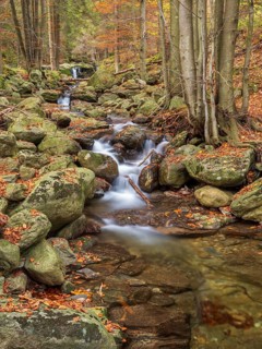Riesloch nature reserve, Riesloch Falls, Riesloch Falls, Riesbach waterfall, Bodenmais, Bavarian