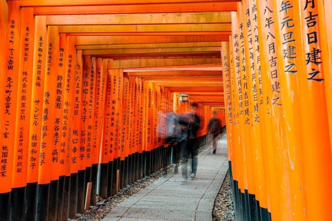 Visitors on a journey through hundreds of red traditional torii gates, Fushimi Inari-taisha, Shinto