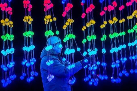 Park lights, winter event, in the Grugapark in Essen, many different light installations, across