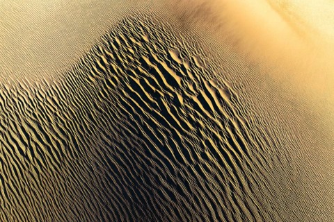 Explore the intricate textures of La Puna sand dunes at sunset. The golden hues and undulating