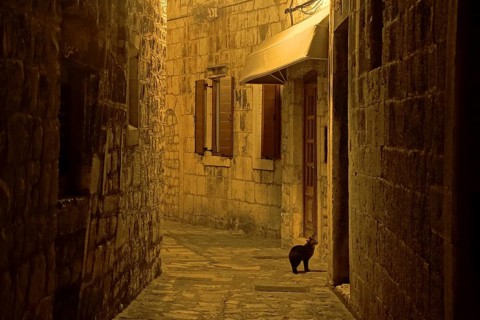 View of Trogir, Croatia, Trogir, Croatia