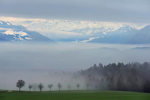 Landscape covered in fog, snow-covered Alps behind, Beinwil, Freiamt, Horben, Lindenberg, Aargau