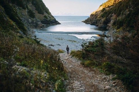 Back view of an unrecognizable man descending a rugged trail towards a serene cove in Shoe Cove