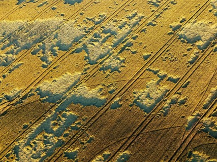 Close-up aerial of cultivated fields in Macerata, Italy, showing lines and textures from
