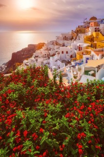 Scenic sunset over sea and picturesque Oia town on Santorini island in summer with red flowers on