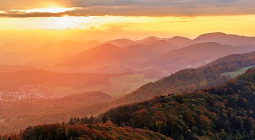 View of an autumnal forest from the Gisliflue, behind the Jurassic foothills in the light of the