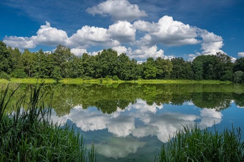 Cumulus clouds over Ahlhorn fish ponds, Ahlhorn, Lower Saxony, Germany