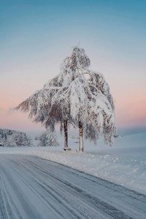 Deep snowy winter morning mood near Halblech in the foothills of the Alps in the Allgäu with the
