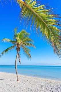 Smathers beach, Key West, Florida, USA