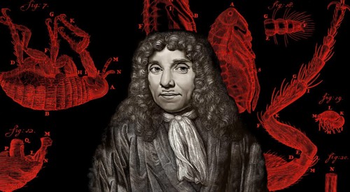 Antonie Philips van Leeuwenhoek, 1632 – 1723, a Dutch microbiologist and microscopist