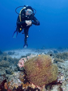 A diver floats above a coral reef with sea anemones and clownfish, dive site Close Encounters,