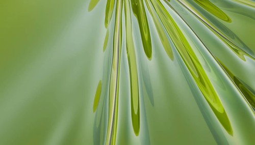 A 3D rendered illustration showcasing abstract fluid dynamics with smooth, flowing green and silver