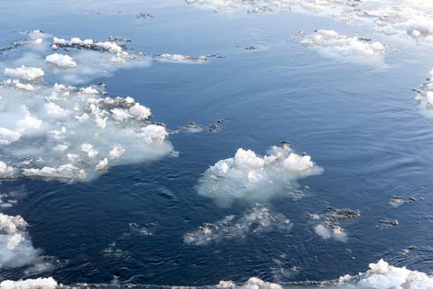 Drift ice and frozen ice rinks on the banks of the Elbe, Dresden, Saxony, Germany