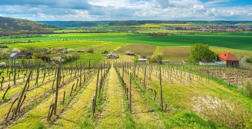 View over vineyard with vineyard cottage into the Unstrut valley, blue sky with dramatic clouds in