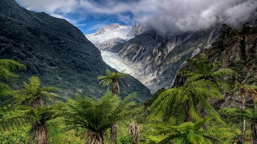 New Zealand, South Island, Franz Josef Glacier, Westland, National Park, National Park, New Zealand