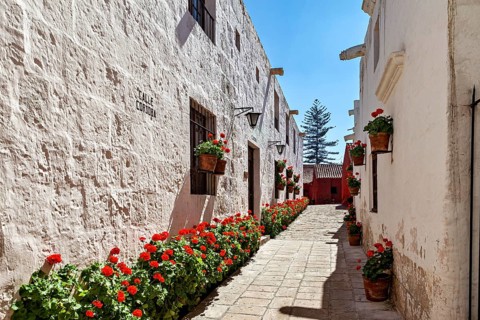 A sunny street with charming white buildings and bright red flowers, Santa Catalina Monastery in