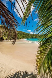 Anse Lazio Beach, Praslin, Republic of Seychelles, Indian Ocean