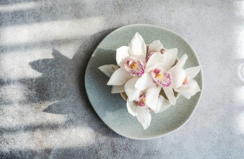 A delicate arrangement of white orchids with pink centers neatly placed on a pale green ceramic
