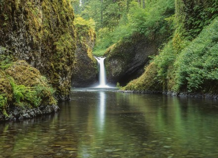 A picturesque waterfall cascades into a tranquil pool, surrounded by lush green foliage and moss