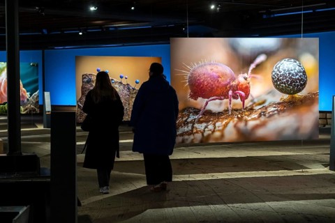 New exhibition at Gasometer Oberhausen, Mythos Wald, on 3 levels and with several thematic