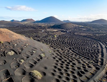 Typical drywall viticulture in volcanic landscape, on volcanic ash, lapilli, aerial view, vines, La