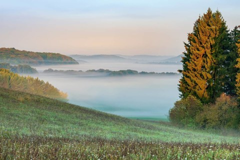 View of meadow on hilly landscape in the southern Harz at sunrise, morning fog in the valleys, near