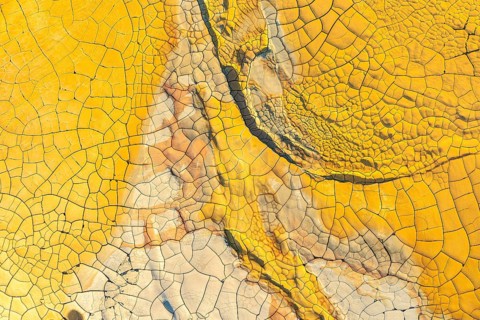 Vibrant, high-resolution image showcasing the intricate patterns and deep cracks of dried, golden
