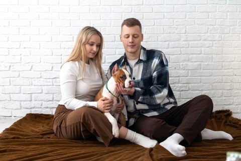 A young couple enjoys a peaceful moment with their Staffordshire Terrier puppy dog inside their