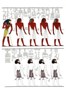 The different kinds of men known to the Egyptians, depicted in the tomb of Menphtah I. The first
