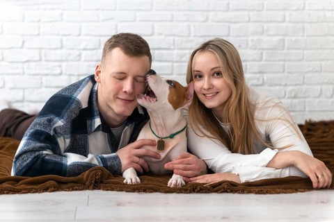 A young couple shares a loving moment with their energetic white and brown dog, lying on a cozy