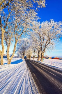 Tree lined country road in the countryside a cold winter day with snow and frost. Sweden
