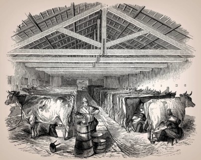 Old English cowshed, 19th century