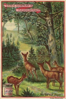 Picture series picture puzzle, where is the hunter, Liebig picture, digitally restored reproduction