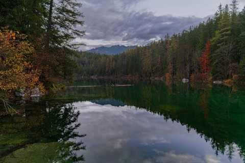 A tranquil lake in the Bavarian Alps, Eibsee, reflects the vibrant colors of autumn Dense forest