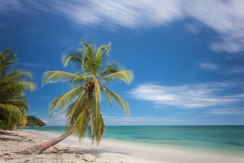 Cahuita National Pak on Costa Rica's Caribbean coast has beautiful, largely secluded beaches. I