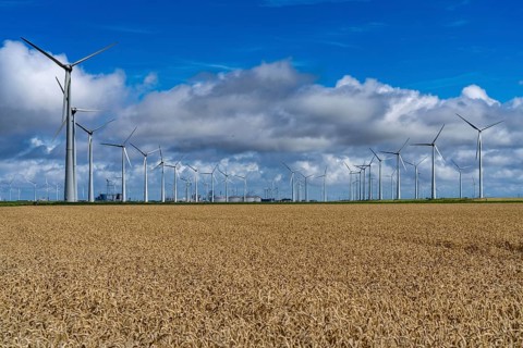 Wind farms Westereems and Growind, in the north of the Netherlands, near Eemshaven, energy centre,