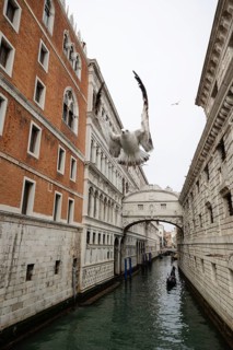 A seagull soars above a Venetian canal, framed by historic architecture and a gondola gliding