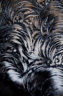 A detailed of micrograph showcasing the intricate, feather-like formations of salicylic acid