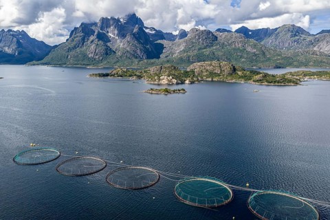 Cages of a salmon farm, at Raften at the Raftsund, the waterway between Lofoten and Vesteralen,