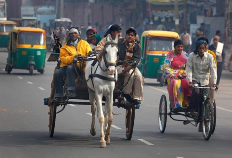 New Delhi, India, 15.01.10 - Horse-drawn carts, rickshaws and tuk tuk taxis on a street in New