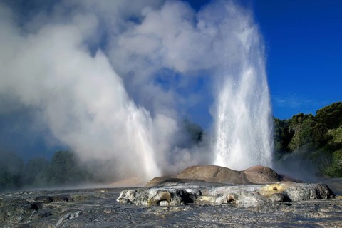 New Zealand, North Island, water fountain, Whakarewarewa, Pohutu geyser, New Zealand