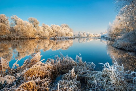 Landscape on the river Eder in winter, trees and reeds covered with hoarfrost, reflection in water,