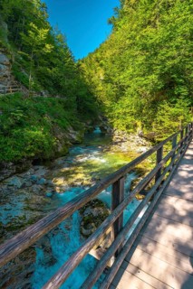 Scenic view of a wooden footbridge over the turquoise radovna river, flowing through the lush