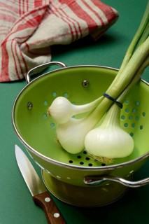 Onion, spring onions in sieve pot