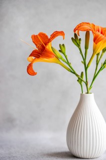 A vibrant display of tiger lily flowers arranged in an elegant white vase. The bright orange petals