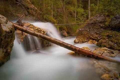 A tree trunk lies across a waterfall, long exposure, Dolomites, Puez-Geisler nature park Park, St.