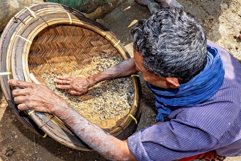 Person uses his hands to inspect the stones in a basket to sort them, the sapphire and gemstone