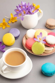 Multicolored macaroons with spring snowdrop crocus flowers and cup of coffee on gray pastel